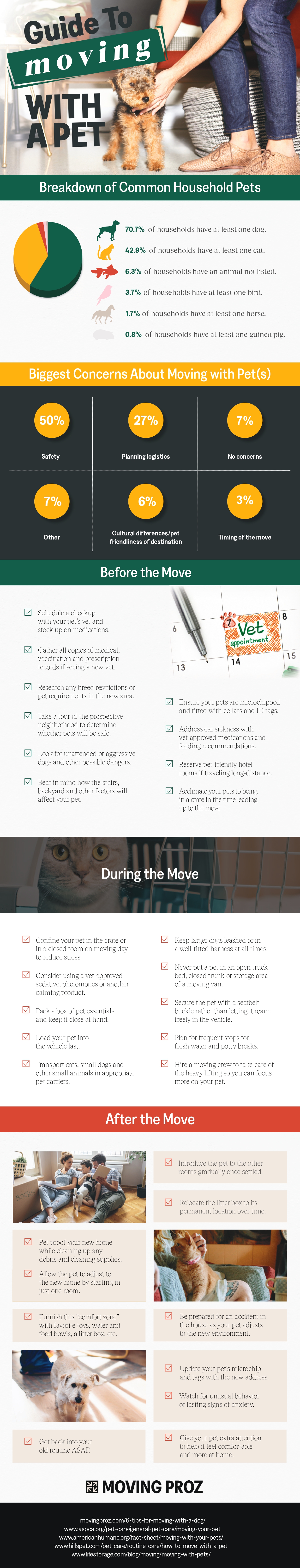 Moving with Your Pet: Key Preparations for a Safe and Smooth Transition