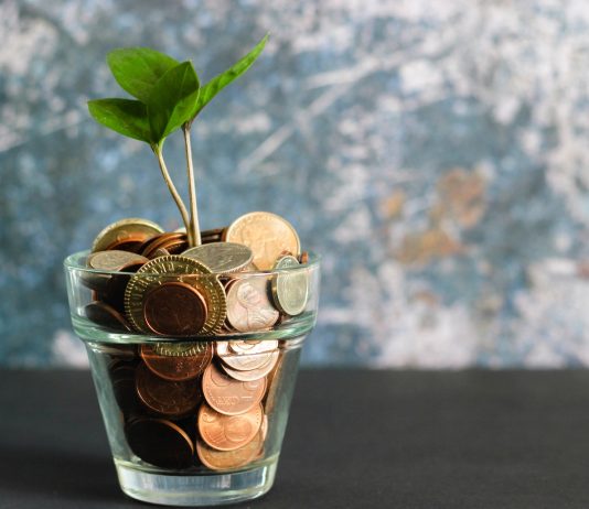 Filing for Your Nonprofit