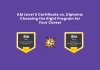 ILM Level 5 Certificate vs. Diploma