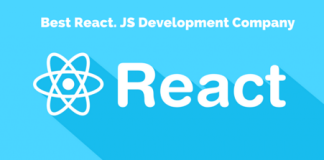 Accelerating Business Growth: Harnessing the Power of React.js Development Company